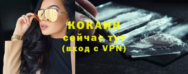 кокс Алзамай