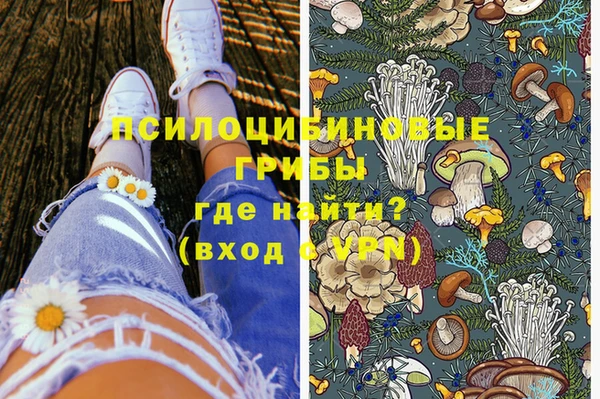 шишки Алексин