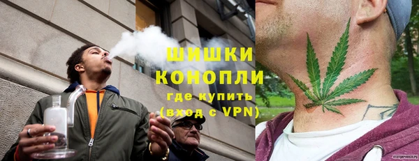 шишки Алексин