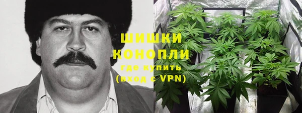 шишки Алексин